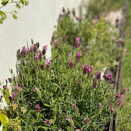 Сasa de vacaciones Casas Bouca Maria - Aqua Village & Sports